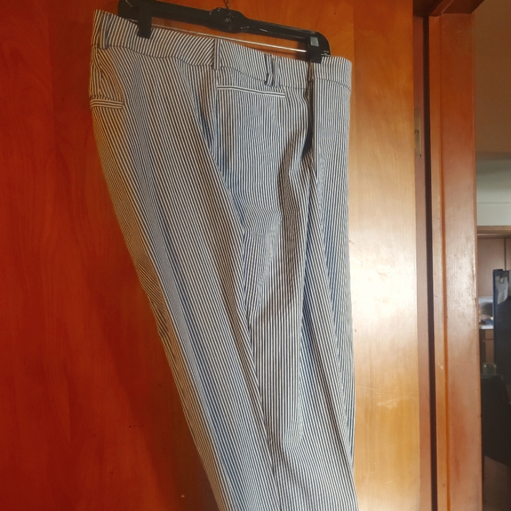 Capri pant Lane Bryant